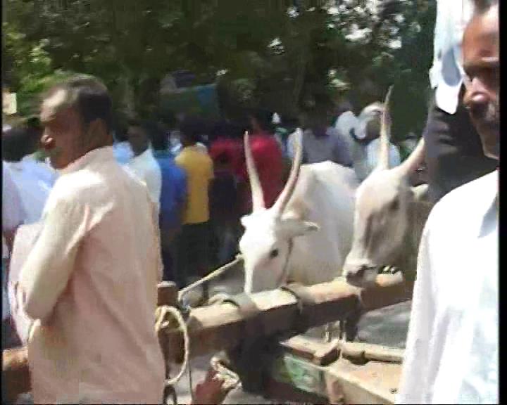 Als Karnataka veröffentlicht Kaveri Wasser. Die Demonstranten verwenden Ochsenkarren um Bangalore-Mysore Autobahn zu blockieren
