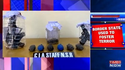 Punjab Police bust major terror module; hand grenades, guns recovered